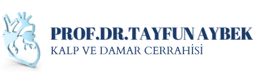 Prof. Dr. Tayfun Aybek