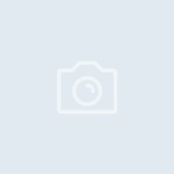 No-Image placeholder No-Image placeholder